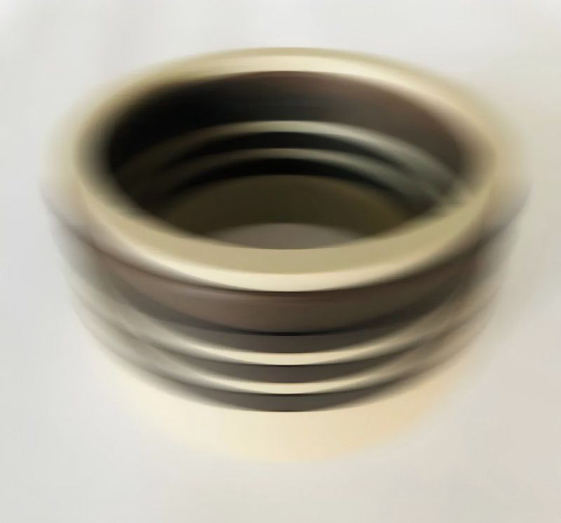 Ruichen Seal Seal's 600MPa Water Medium Imbolating Seal Seal Seal Seal Seal Passed Η δοκιμή χρήστη
